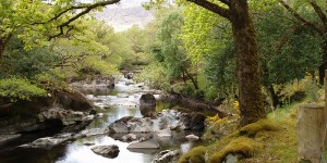 Hidden Kerry – walking the Kerry Way and Killarney National Park - Go Visit Ireland