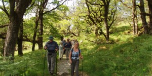 The Kerry Way self-guided walking holiday 11-night - Go Visit Ireland