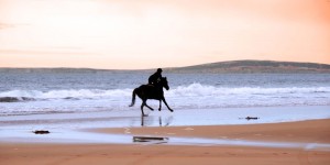 Equestrian Tours – Trail Riding<br>& Mini Breaks - Go Visit Ireland